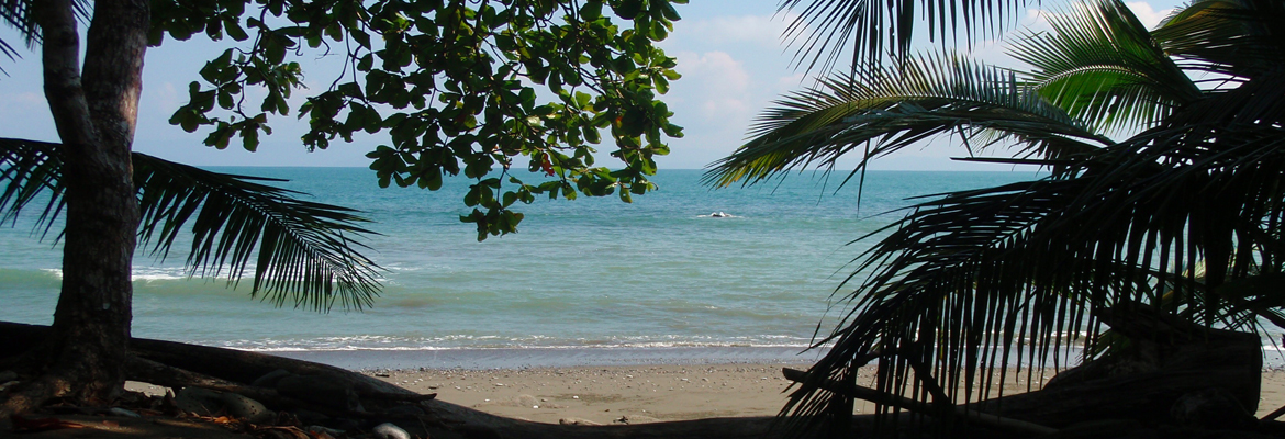 Own Your Own Paradise in Costa Rica
